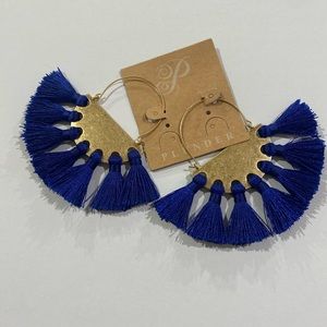 Stunning Light weight tassel earrings